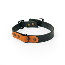 Load image into Gallery viewer, Leather dog collar with personalization