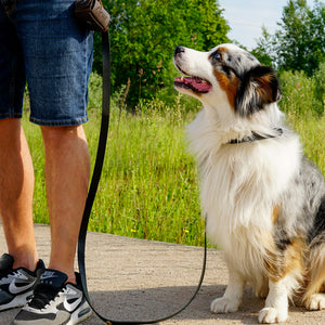 Personalized leather dog leash