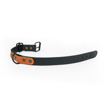 Load image into Gallery viewer, Leather dog collar with personalization