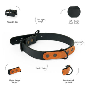 Leather dog collar with personalization