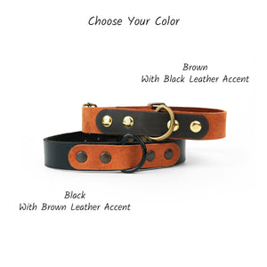 Leather dog collar with personalization