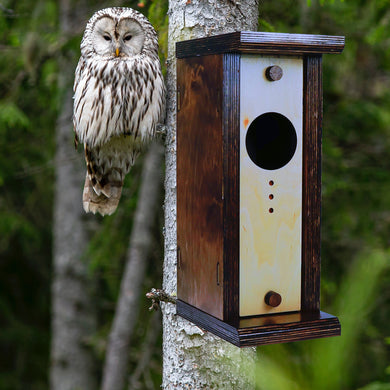 Owl House, Wood Bird House