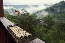 Load image into Gallery viewer, Balcony Bird Feeder, Railing Mounted Wooden Bird Feeder Tray