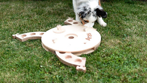 Dog toy - educational activity board dog toy