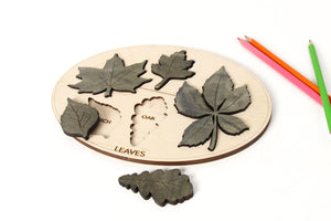 Kids educational board - Leaves names learning board toy for kids wooden